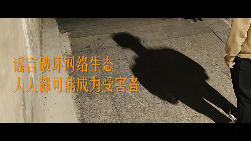 二等獎 《真相與謠言》